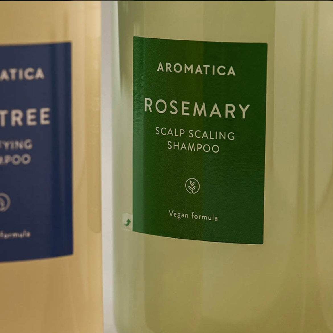 Aromatica -Desquamation du cuir chevelu au romarin- Shampoing - My Korean Beauty